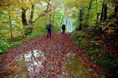 Similar image 1185913