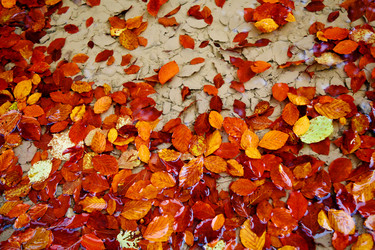 Similar image 1185914