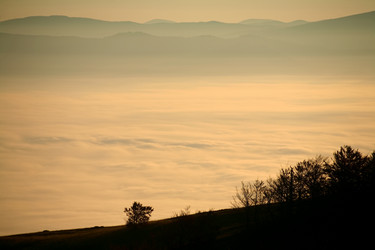 Similar image 1185931