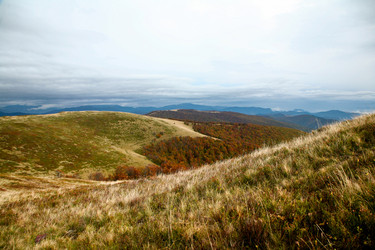 Similar image 1185932