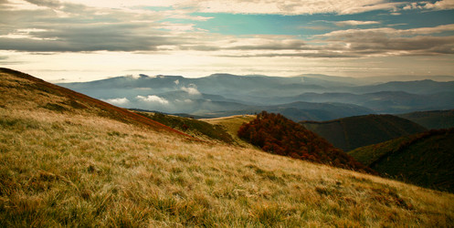 Similar image 1185933