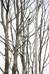 Similar image 1185935