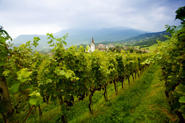 Similar image 1185939