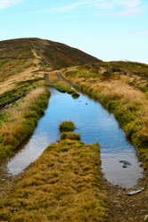 Similar image 1185940