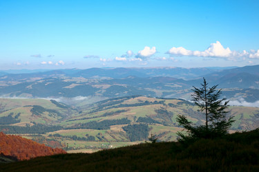 Similar image 1185947