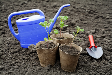 Similar image 1185965