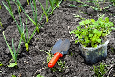 Similar image 1185969