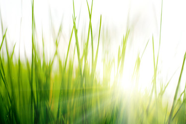 Similar image 1185970