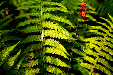 Similar image 1185978