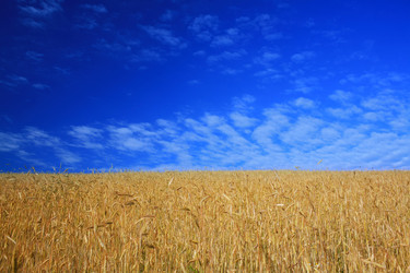 Similar image 1186000