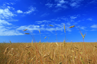 Similar image 1186001