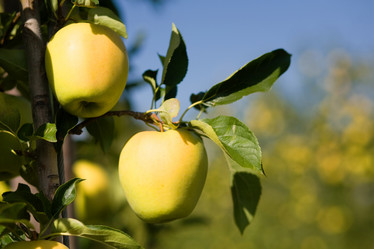 Similar image 1186008