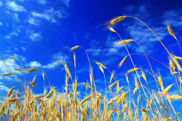 Similar image 1186009