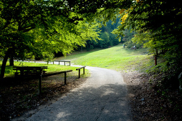 Similar image 1186016