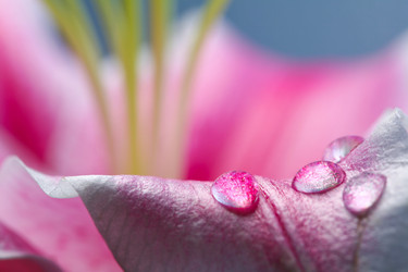 Similar image 1186032