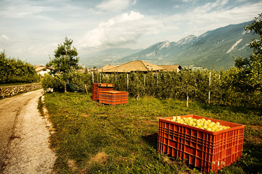 Similar image 1186035