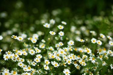 Similar image 1186046