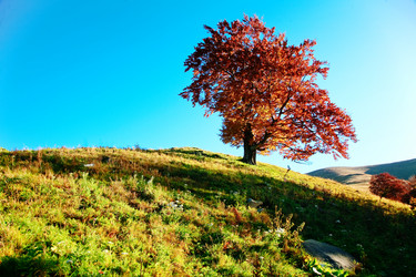 Similar image 1186062