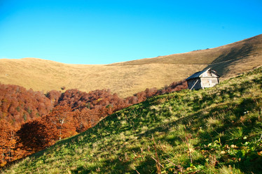 Similar image 1186063