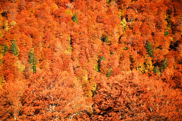 Similar image 1186065