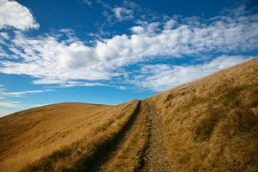 Similar image 1186067