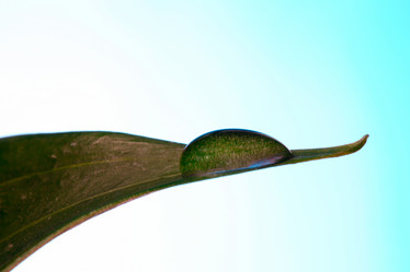 Similar image 1186068