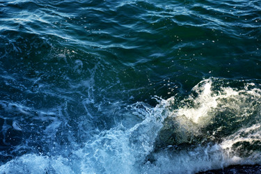 Similar image 1186101