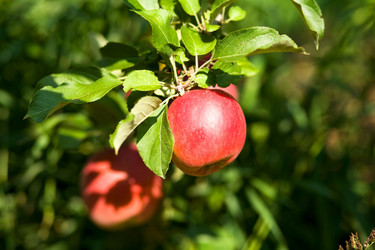 Similar image 1186113