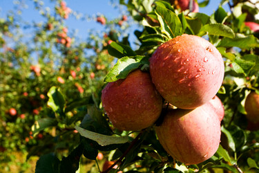 Similar image 1186144