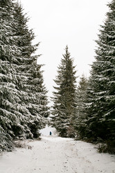 Similar image 1186158