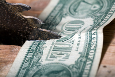 Similar image 1186159