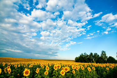 Similar image 1186160