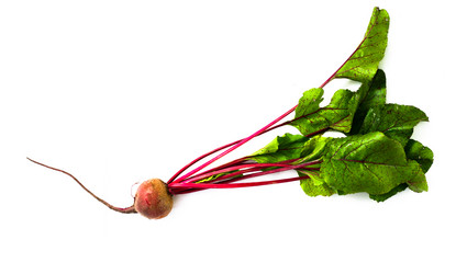 Similar image 1186161