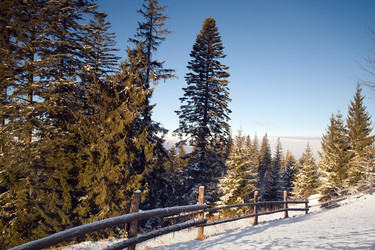 Similar image 1186167