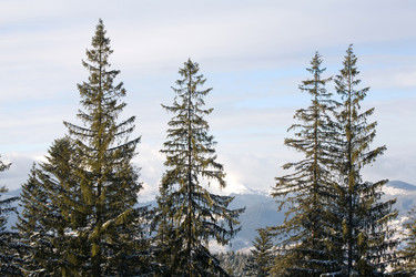 Similar image 1186169