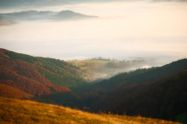 Similar image 1186186