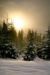 Similar image 1186211