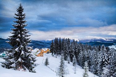 Similar image 1186223