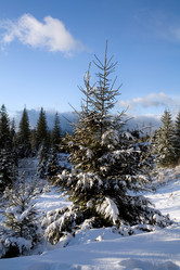 Similar image 1186259