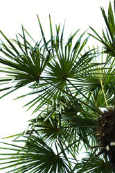 Similar image 1186298