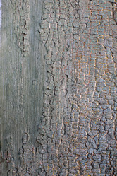 Similar image 1186311