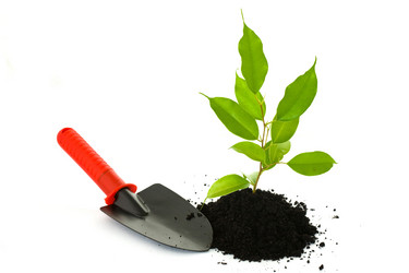 Similar image 1186312