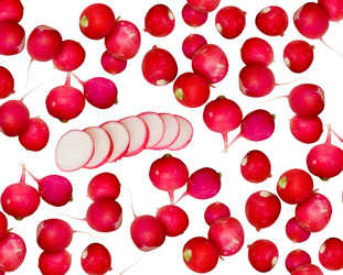 Similar image 1186318