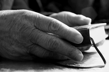 Similar image 1186327