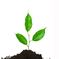 Similar image 1186338