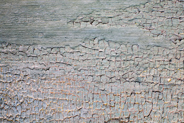 Similar image 1186339