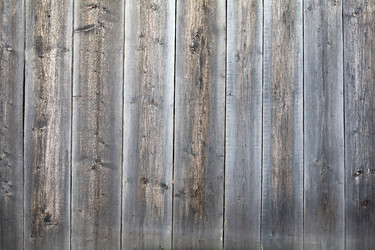 Similar image 1186342