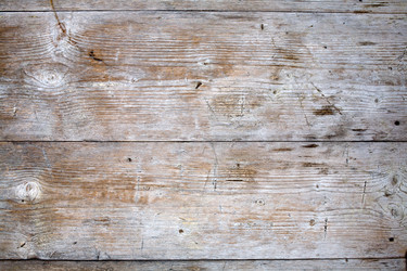 Similar image 1186344