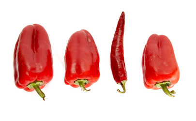 Similar image 1186352