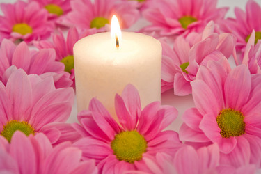 Similar image 1186363